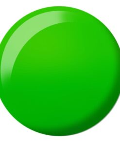 Lizard State DIVA #191