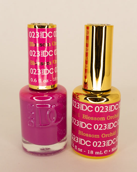 DC duo 023  Blossom Orchid