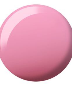 Where's My Beret? DIVA #172