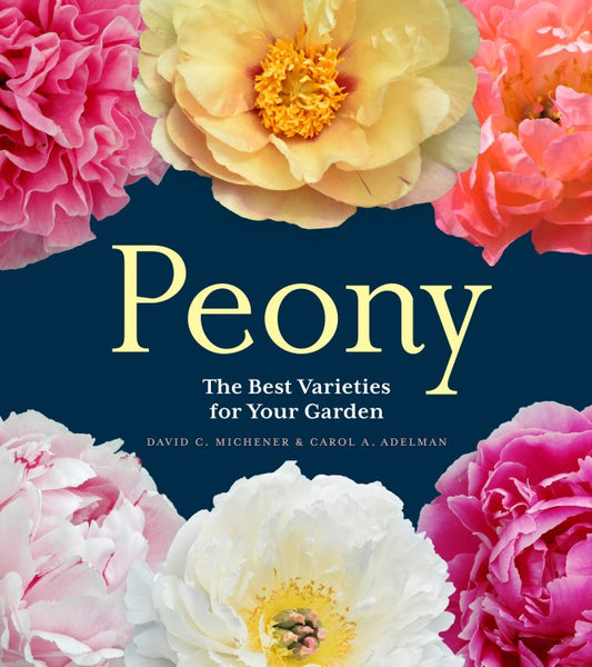 CHERI cover peony 23g (132843378593)
