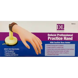 DL Professional practice hand