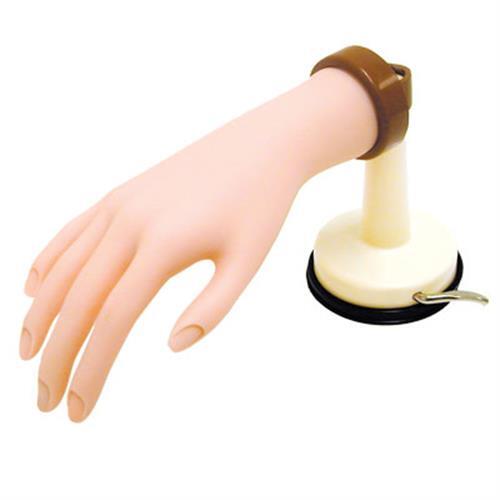DL Professional practice hand