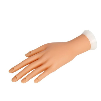 DL Professional practice hand