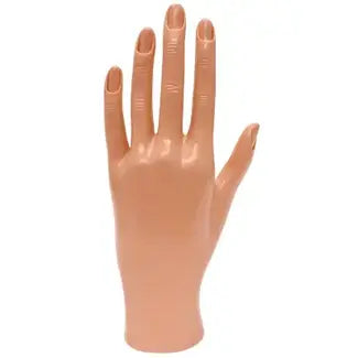DL Professional practice hand